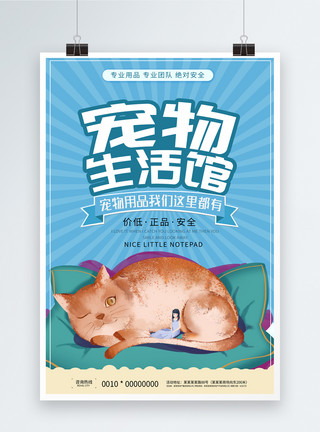 卡通猫咪对话框宠物生活馆海报模板