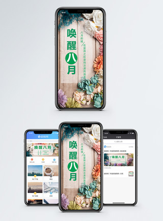 淡漠你好八月手机海报配图模板
