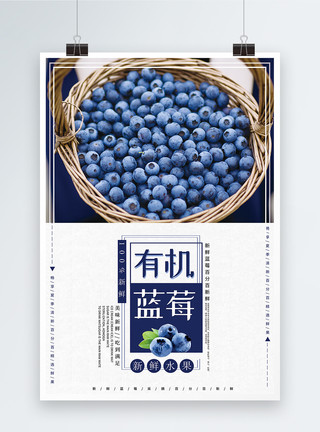 有机蓝莓蓝莓水果海报模板