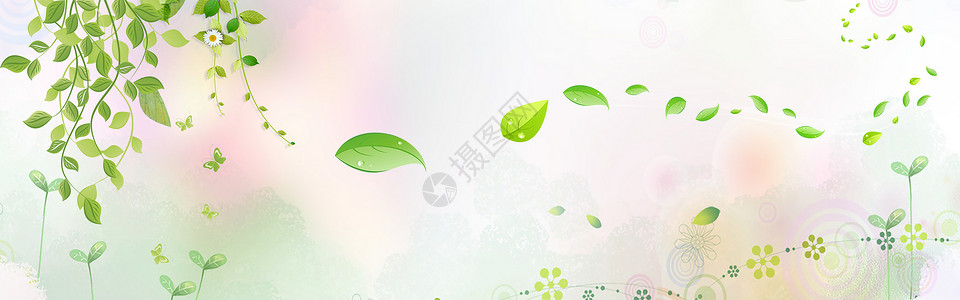 绿色藤蔓树叶创意清新banner背景设计图片