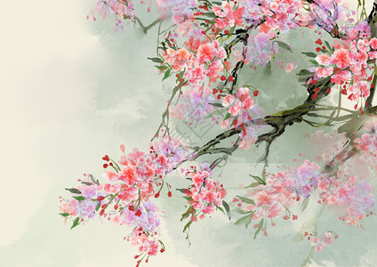 北美海棠中国风花卉背景插画