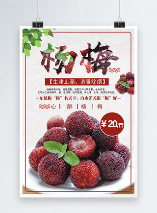 一个杨梅杨梅水果海报模板