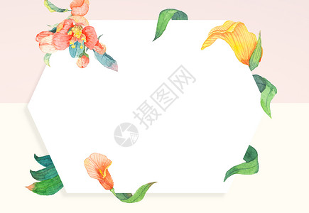 红花边框水彩手绘植物海报背景插画