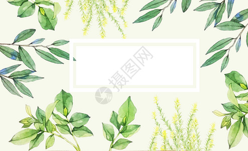 树叶框水彩植物背景插画