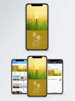 麦穗金色早安手机海报配图模板