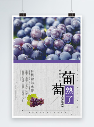 葡萄成熟了葡萄水果海报模板