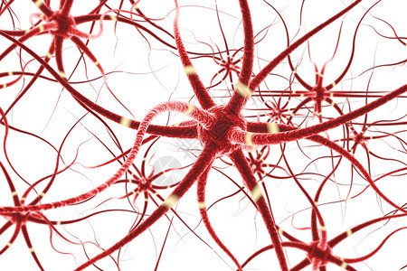 神经元细胞神经中枢高清图片