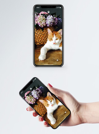 趴着的花和猫手机壁纸模板