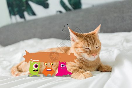 小怪物和大橘猫插画