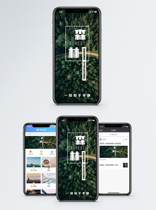 俯瞰森林森林手机海报配图模板