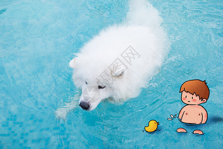 沐浴小鸭子泳池里的小男孩和小狗插画