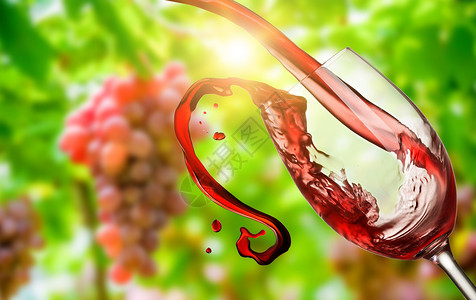 红酒背景素材红酒庄园背景设计图片