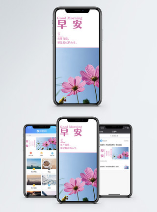 鲜花背景海报早安手机海报配图模板