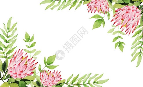 圆形树叶边框水彩花卉背景插画