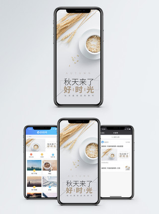 壁纸简约麦子秋天来了手机海报配图模板