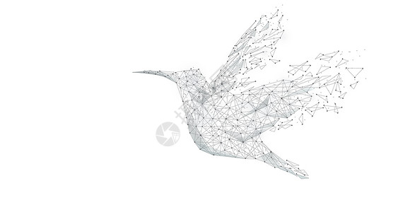 北灰鹟鸟类飞鸟设计图片