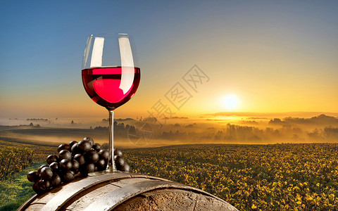 葡萄园展架红酒酿造设计图片