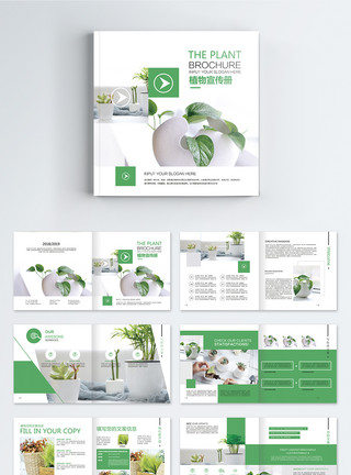园艺喷壶绿色植物宣传画册整套模板