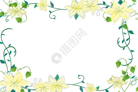 绿色藤蔓边框花卉背景插画