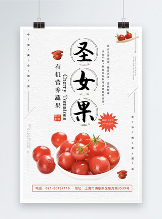 千禧小番茄圣女果海报模板