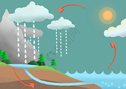 树雨水循环插画