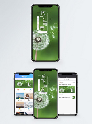蒲公英植物青春手机海报配图模板