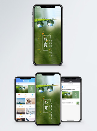 贴秋膘配图白露手机海报配图模板