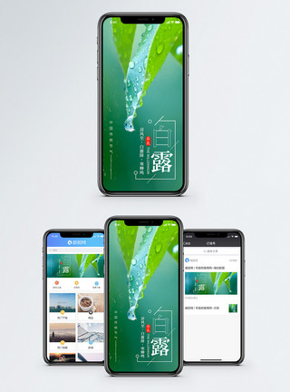 绿叶露水白露节气手机海报配图模板