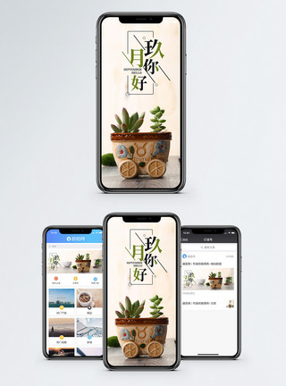 多肉盆景九月你好手机海报配图模板