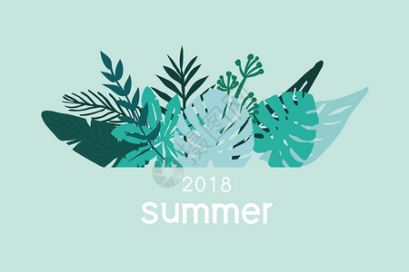夏天热带植物绿色植物背景插画