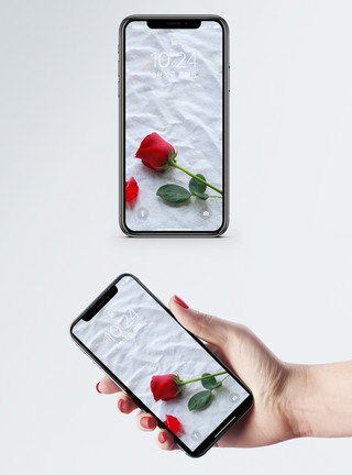 玫瑰手机壁纸模板