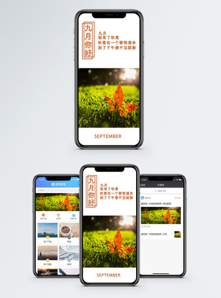 草地落叶你好九月手机海报配图模板