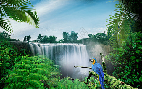豹彩虹鸟梦幻森林瀑布设计图片