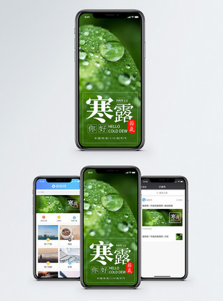手操作手机二十四节气寒露手海报配图模板