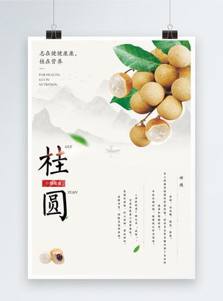 新鲜水果桂圆龙眼白色背景图桂圆美食海报模板