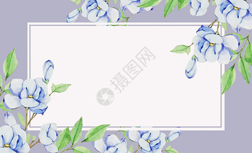 边框蓝色树叶水彩花卉背景插画