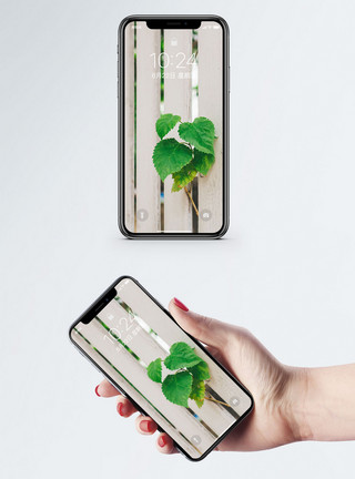 四叶草植物小清新手机壁纸模板