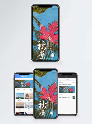 澄澈秋叶手机海报配图模板