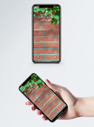 爬山虎图片下载绿植墙壁手机壁纸模板