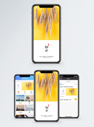 秋果实秋分手机配图模板