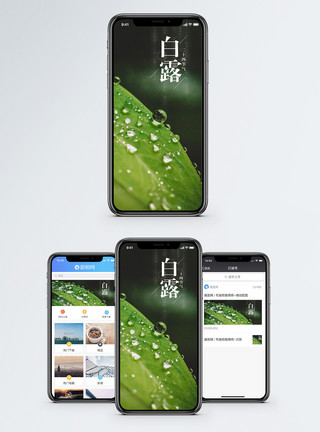 中国传统白露手机海报配图模板
