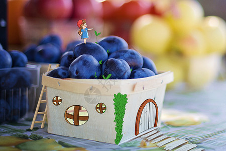 蓝莓小房子林厄布高清图片