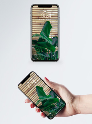 绿色植物护眼绿色盆栽手机壁纸模板