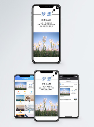 清新鲜花草地梦想手机海报配图模板