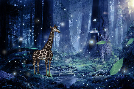 夜间魔法梦幻森林设计图片