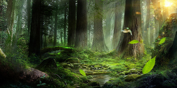 创意森林森林树叶高清图片