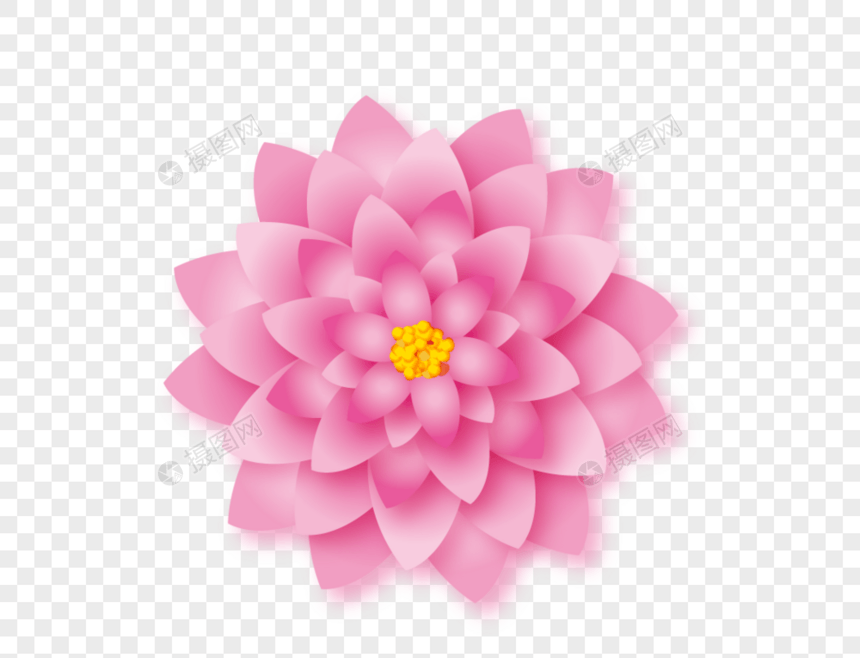 美丽粉色花朵装饰图片
