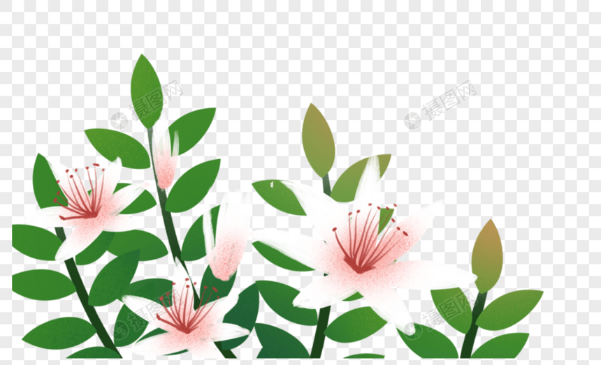 植物花丛图片