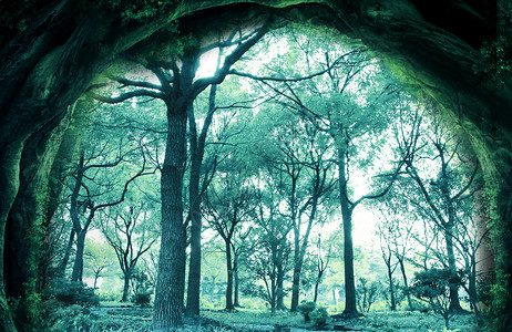 松鼠上树梦幻森林场景设计图片