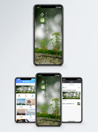小绿芽心情日签手机海报配图模板